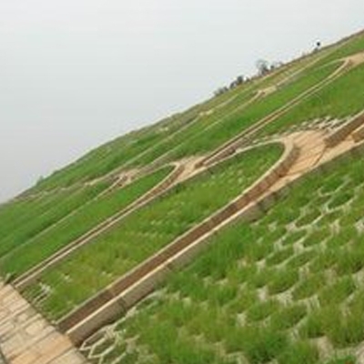 SAP用于農林保水劑